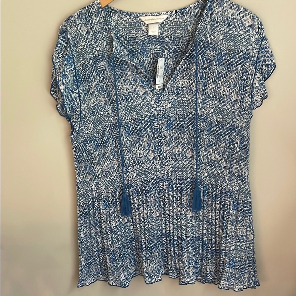 Christopher Banks Crinkle Blouse Size Large